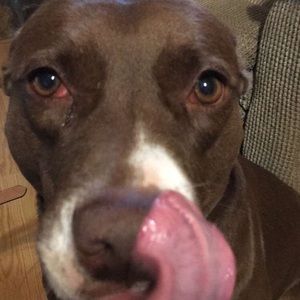 Meet your Posher, Clint